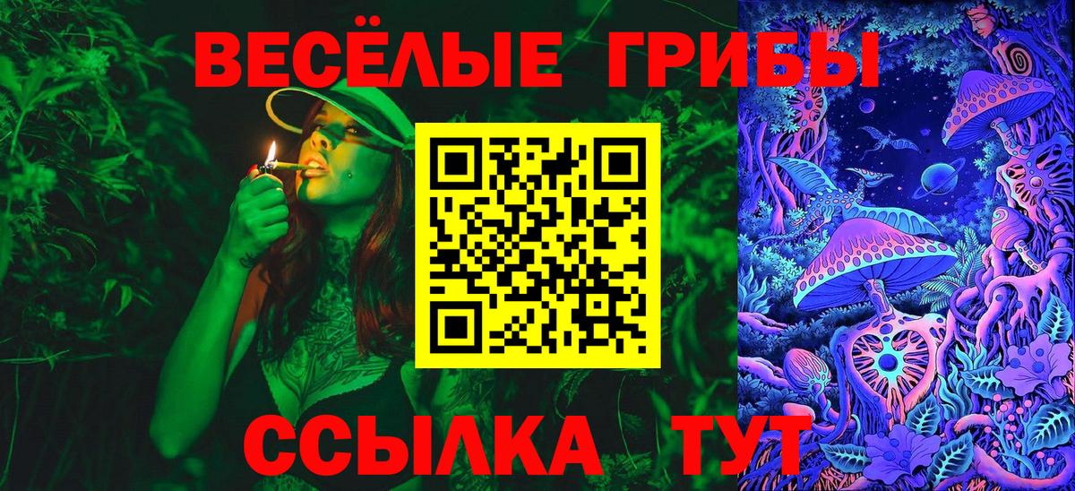 Псилоцибиновые грибы Cubensis  Вход с VPN  Кузнецк 